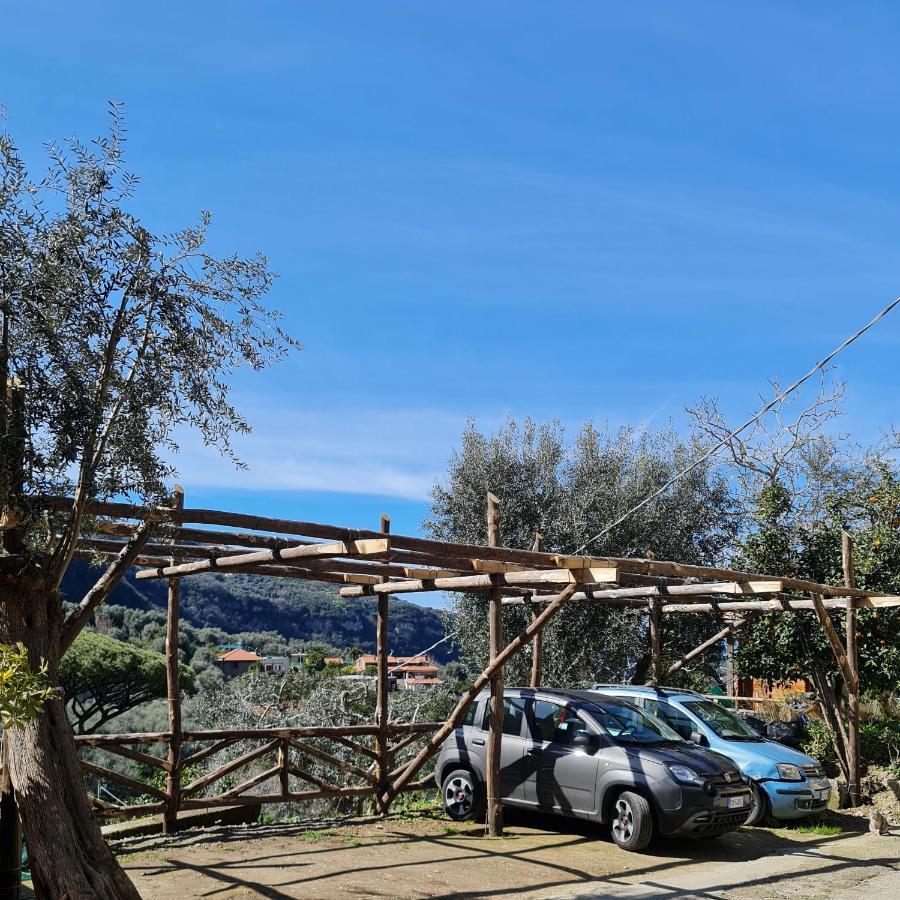 索伦托Casa Betania Da Peppe别墅 外观 照片