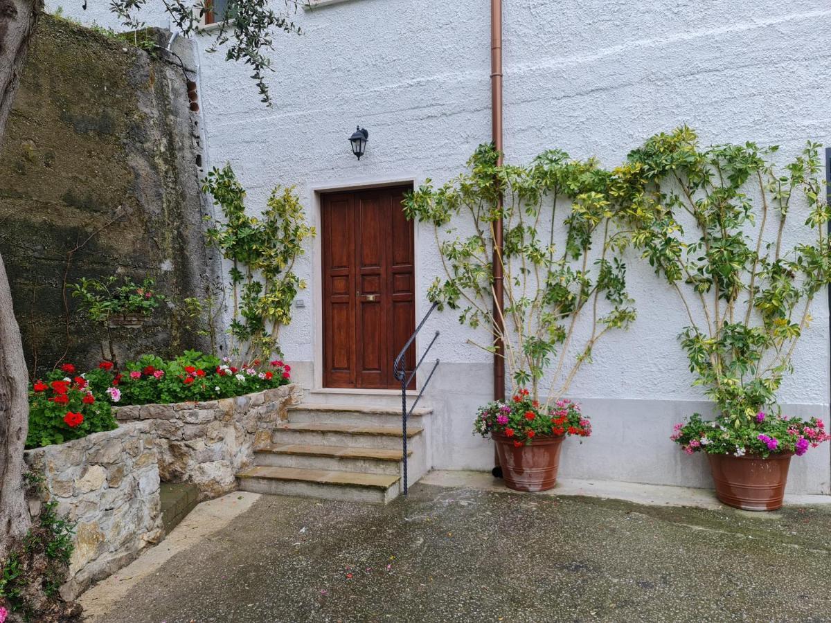 索伦托Casa Betania Da Peppe别墅 外观 照片