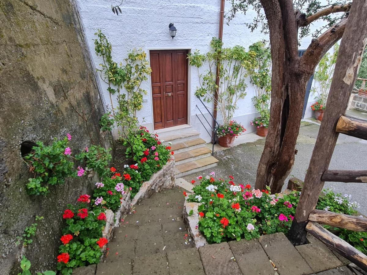 索伦托Casa Betania Da Peppe别墅 外观 照片